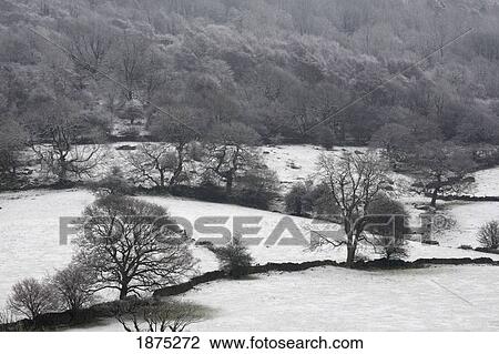 derwent valley, derbyshire, england; a winter landscape in peak district national park View Large Photo Image Stock Image - derwent valley, derbyshire, england; a winter landscape in peak district national park. Fotosearch