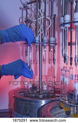 edmonton, alberta, canada; gloved hands put liquid into test tubes in a laboratory View Large Photo Image Stock Image - edmonton, alberta, canada; gloved hands put liquid into test tubes in a laboratory. Fotosearch