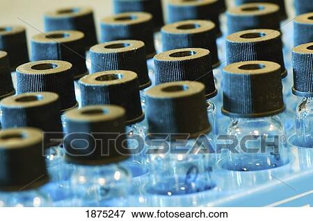 edmonton, alberta, canada; small glass bottles with black lids in a labratory View Large Photo Image Stock Photo - edmonton, alberta, canada; small glass bottles with black lids in a labratory. Fotosearch