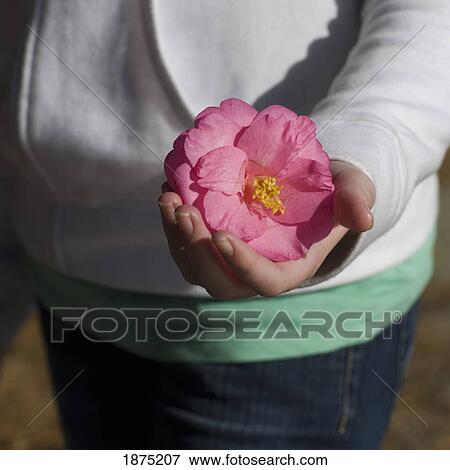 Stock Photo - holding a pink flower in the palm of her hand. Fotosearch
