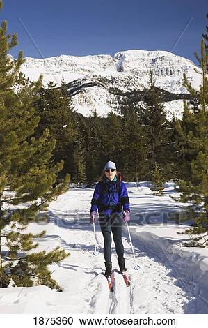 lake louise, alberta, canada; cross country skier on a trail with a mountain in the background View Large Photo Image Stock Image - lake louise, alberta, canada; cross country skier on a trail with a mountain in the background. Fotosearch