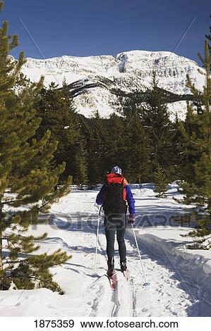 lake louise, alberta, canada; cross country skier on a trail skiing towards a mountain View Large Photo Image Stock Photo - lake louise, alberta, canada; cross country skier on a trail skiing towards a mountain. Fotosearch