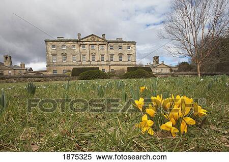 Stock Photography - northumberland, england; the grounds in front of howick hall. Fotosearch