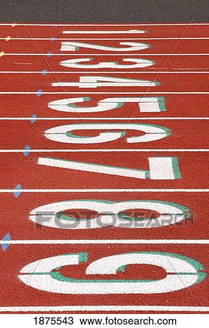 numbers in a row to mark the lanes on a running track View Large Photo Image Stock Image - numbers in a row to mark the lanes on a running track. Fotosearch