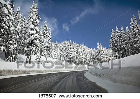 oregon cascades, united states of america; snow along the road at timberline on mount hood View Large Photo Image Stock Photo - oregon cascades, united states of america; snow along the road at timberline on mount hood. Fotosearch