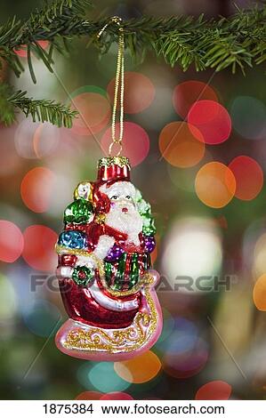 oregon, united states of america; a santa claus ornament hanging from a christmas tree View Large Photo Image Picture - oregon, united states of america; a santa claus ornament hanging from a christmas tree. Fotosearch