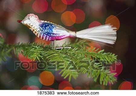 oregon, united states of america; a bird ornament on a christmas tree View Large Photo Image Stock Image - oregon, united states of america; a bird ornament on a christmas tree. Fotosearch