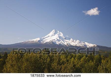 oregon, united states of america; a view of mount hood from hood river valley View Large Photo Image Stock Image - oregon, united states of america; a view of mount hood from hood river valley. Fotosearch