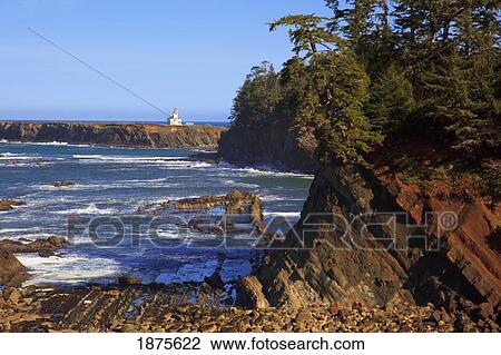 oregon, united states of america; cape arago lighthouse at shore acres state park along the coast of the pacific ocean View Large Photo Image Stock Image - oregon, united states of america; cape arago lighthouse at shore acres state park along the coast of the pacific ocean. Fotosearch