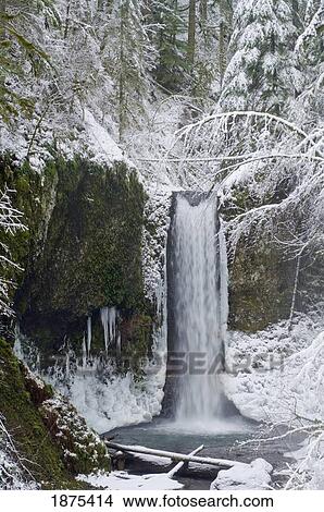 oregon, united states of america; wiesendanger falls in winter in the columbia river gorge View Large Photo Image Picture - oregon, united states of america; wiesendanger falls in winter in the columbia river gorge. Fotosearch