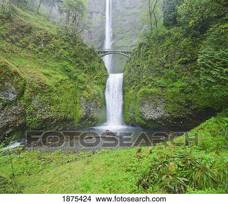 oregon, united states of america; multnomah falls in spring in columbia river gorge View Large Photo Image Picture - oregon, united states of america; multnomah falls in spring in columbia river gorge. Fotosearch