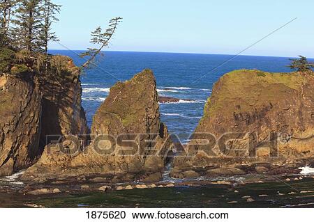Stock Image - oregon, united states of america; rock formations at shore acres state park along the coast. Fotosearch
