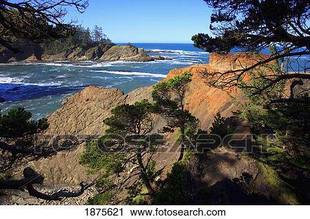 Stock Image - oregon, united states of america; rock formations at shore acres state park along the coast. Fotosearch
