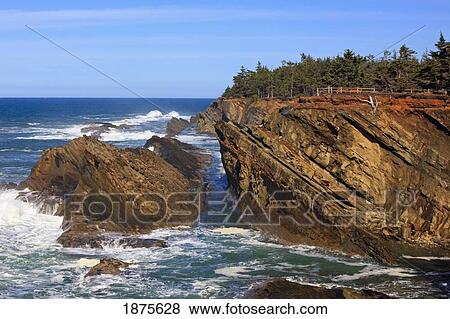 Stock Photo - oregon, united states of america; rock formations at shore acres state park along the coast of the pacific ocean. Fotosearch