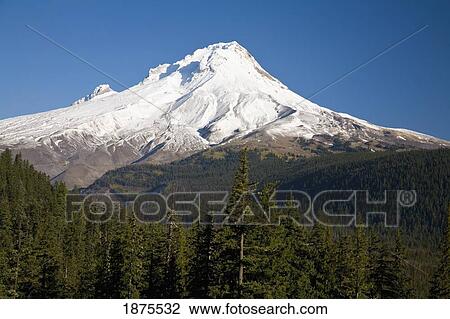 oregon, united states of america; snow on mount hood View Large Photo Image Stock Image - oregon, united states of america; snow on mount hood. Fotosearch