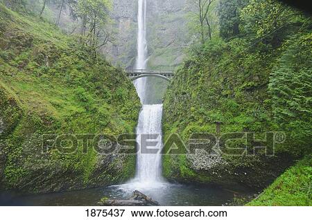 Stock Photo - oregon, united states of america; multnomah falls in columbia river gorge. Fotosearch