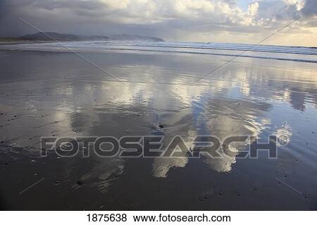 pacific city, oregon, united states of america; clouds reflected in the water at low tide View Large Photo Image Stock Photo - pacific city, oregon, united states of america; clouds reflected in the water at low tide. Fotosearch