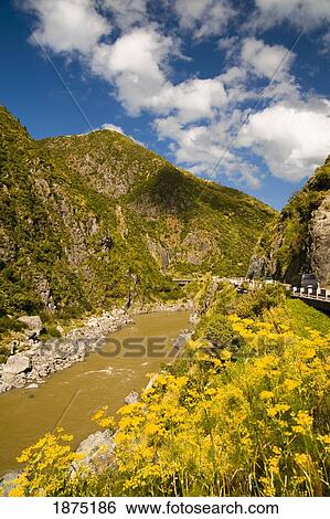 Stock Photograph - palmerston north, new zealand; a bridge going over a river in a canyon. Fotosearch