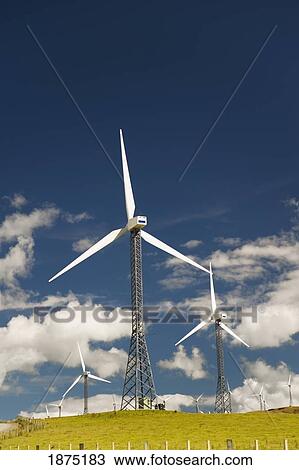 Stock Image - palmerston north, new zealand; wind turbines in a field. Fotosearch