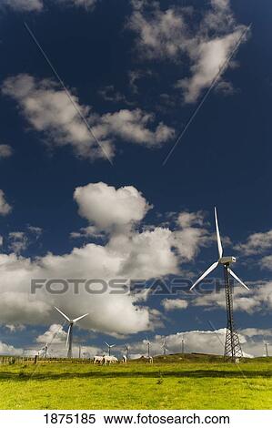 palmerston north, new zealand; wind turbines View Large Photo Image Stock Photography - palmerston north, new zealand; wind turbines. Fotosearch