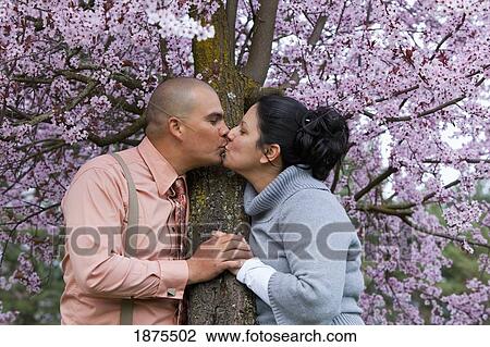 portland, oregon, united states of america; a couple kissing by a cherry blossom tree View Large Photo Image Stock Image - portland, oregon, united states of america; a couple kissing by a cherry blossom tree. Fotosearch