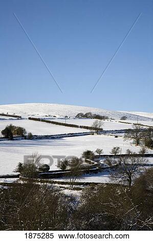 south yorkshire, england; snow covering the fields in the pennines with trees and a winding path with stone walls View Large Photo Image Stock Photography - south yorkshire, england; snow covering the fields in the pennines with trees and a winding path with stone walls. Fotosearch