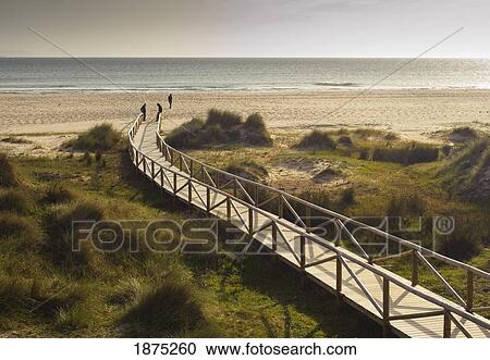 tarifa, costa de la luz, cadiz, andalusia, spain; a wooden boardwalk leading to dos mares beach in front of hotel dos mares View Large Photo Image Stock Image - tarifa, costa de la luz, cadiz, andalusia, spain; a wooden boardwalk leading to dos mares beach in front of hotel dos mares. Fotosearch