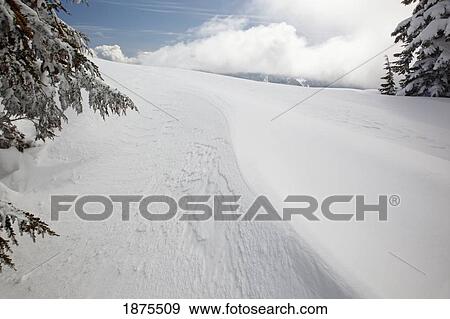 Stock Photo - timberline, oregon cascades, united states of america; snow on a slope on mount hood. Fotosearch
