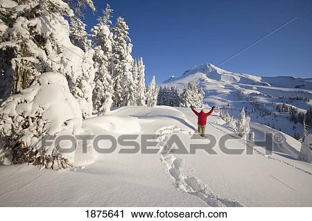 timberline, oregon, united states of america; snowshoer in deep winter snow on mount hood View Large Photo Image Stock Image - timberline, oregon, united states of america; snowshoer in deep winter snow on mount hood. Fotosearch