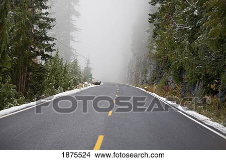 Picture - Washington, united states of america; traces of snow along the side of the road in mt. rainier national park. Fotosearch