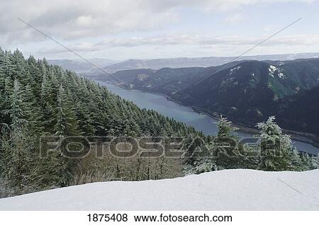 Stock Photo - washington, united states of america; view of columbia river gorge from dog mountain. Fotosearch