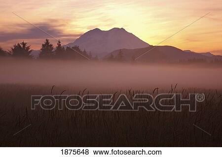 washington, united states of america; sunrise over mount rainier in mount rainier national park View Large Photo Image Stock Photo - washington, united states of america; sunrise over mount rainier in mount rainier national park. Fotosearch