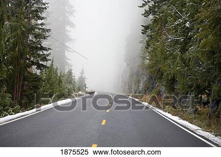 Stock Photography - Washington, united states of america; traces of snow along the side of the road in mt. rainier national park. Fotosearch