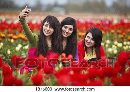 woodburn, oregon, united states of america; teenage girls playing in the tulip fields of wooden shoe tulip farm View Large Photo Image Stock Image - woodburn, oregon, united states of america; teenage girls playing in the tulip fields of wooden shoe tulip farm. Fotosearch