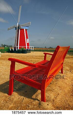 woodburn, oregon, united states of america; a windmill and bench at the tulip fields View Large Photo Image Stock Photo - woodburn, oregon, united states of america; a windmill and bench at the tulip fields. Fotosearch