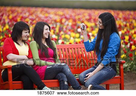 Stock Photo - woodburn, oregon, united states of america; teenage girls taking pictures with a camera at wooden shoe tulip farm. Fotosearch