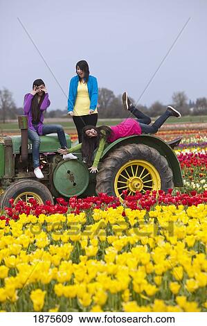 woodburn, oregon, united states of america; teenage girls playing on a tractor in a tulip field at the wooden shoe tulip farm View Large Photo Image Stock Photo - woodburn, oregon, united states of america; teenage girls playing on a tractor in a tulip field at the wooden shoe tulip farm. Fotosearch