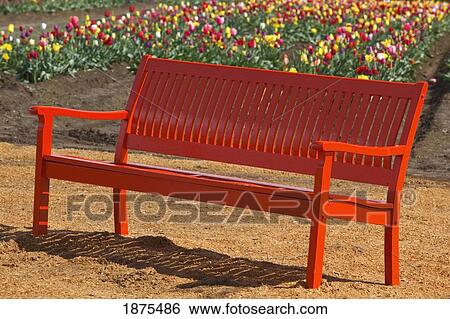Stock Photograph - woodburn, oregon, united states of america; a red bench beside the tulip field. Fotosearch