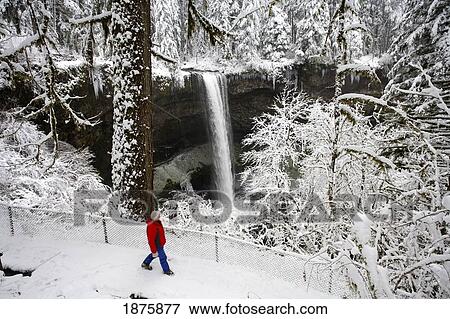 A Person Standing In The Snow And Watching A Waterfall In Winter View Large Photo Image Stock Photo - A Person Standing In The Snow And Watching A Waterfall In Winter. Fotosearch