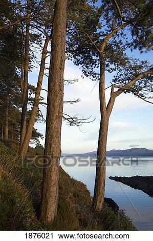 Blackwater, County Kerry, Ireland; The Coastline Of Kenmare Bay View Large Photo Image Stock Image - Blackwater, County Kerry, Ireland; The Coastline Of Kenmare Bay. Fotosearch
