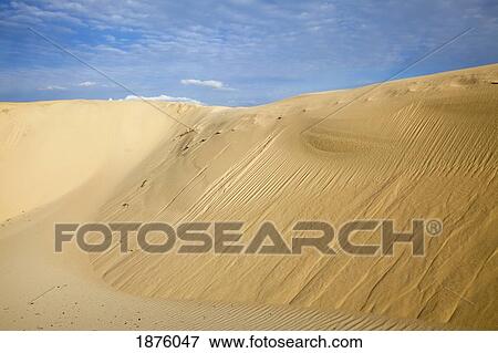 Bolonia, Andalusia, Spain; The Sand Dunes Near Tarifa View Large Photo Image Stock Photo - Bolonia, Andalusia, Spain; The Sand Dunes Near Tarifa. Fotosearch