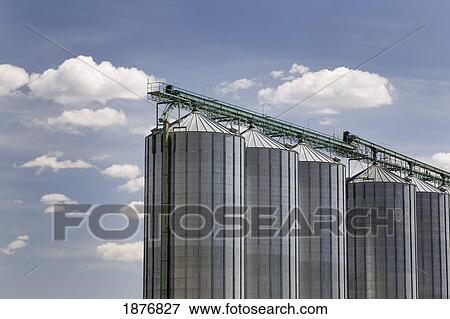 Calgary, Alberta, Canada; A Row Of Large Grain Bins View Large Photo Image Stock Photo - Calgary, Alberta, Canada; A Row Of Large Grain Bins. Fotosearch