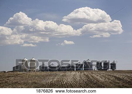 Calgary, Alberta, Canada; A Row Of Grain Bins In A Tilled Field View Large Photo Image Stock Photograph - Calgary, Alberta, Canada; A Row Of Grain Bins In A Tilled Field. Fotosearch