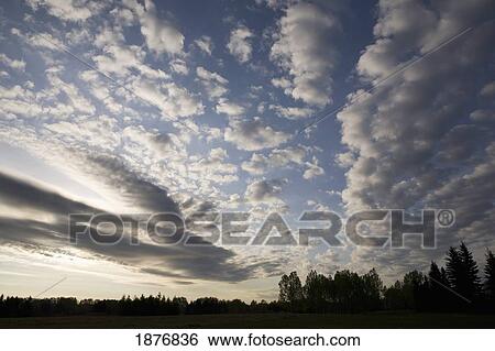 Stock Photograph - Calgary, Alberta, Canada; Clouds In The Sky With Silhouetted Trees. Fotosearch