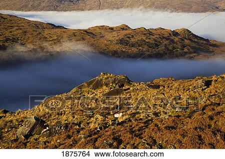 Picture - County Kerry, Ireland; Fog In The Valley At Molls Gap Near Killarney. Fotosearch