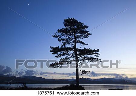 County Kerry, Ireland; Moon In The Sky Over Kenmare Bay Near Blackwater View Large Photo Image Stock Image - County Kerry, Ireland; Moon In The Sky Over Kenmare Bay Near Blackwater. Fotosearch