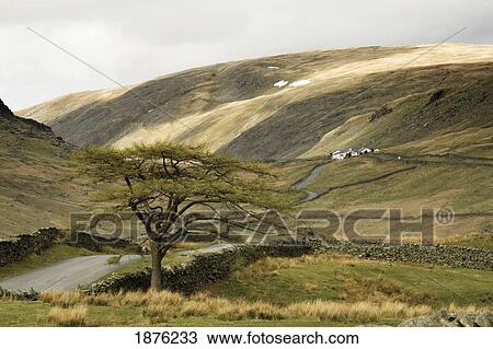 Cumbria, England; A Landscape With Rolling Hills And Stone Walls In Kirkstone Pass View Large Photo Image Stock Image - Cumbria, England; A Landscape With Rolling Hills And Stone Walls In Kirkstone Pass. Fotosearch