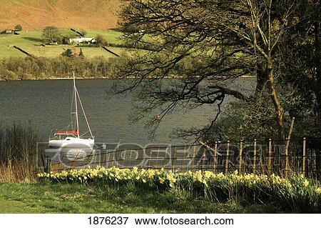 Cumbria, England; A Sailboat In Ullswater Lake In Lake District National Park View Large Photo Image Stock Photo - Cumbria, England; A Sailboat In Ullswater Lake In Lake District National Park. Fotosearch