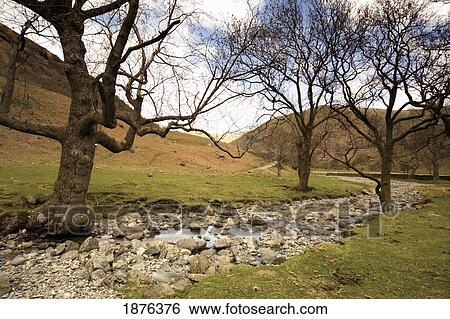 Cumbria, England; A Stream Along A Rock Bed In Dovedale View Large Photo Image Stock Photograph - Cumbria, England; A Stream Along A Rock Bed In Dovedale. Fotosearch