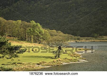 Stock Photograph - Cumbria, England; Crummock Water In Lake District National Park. Fotosearch